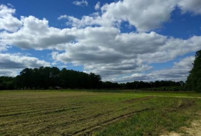 farm-field