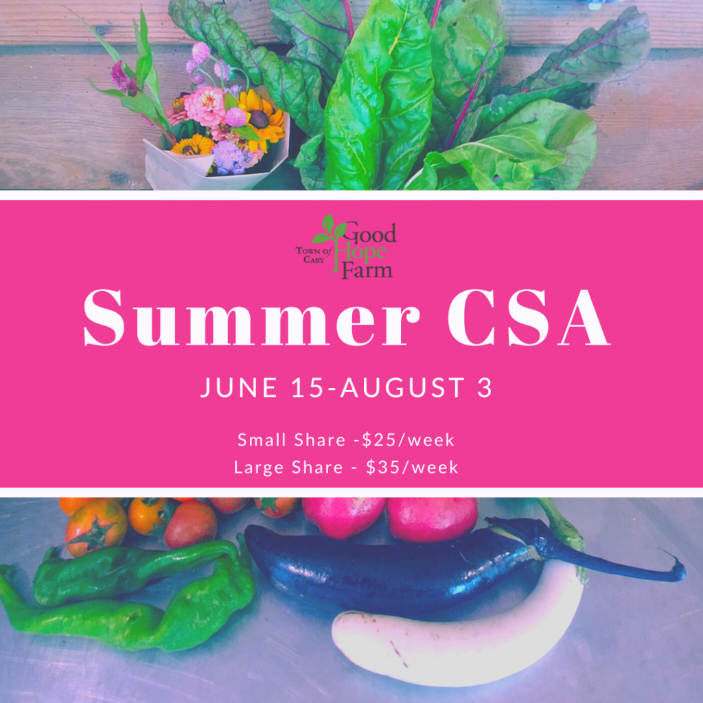 Summer CSA June 15-August 2